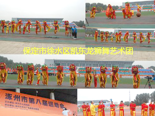 2017涿州市运动会